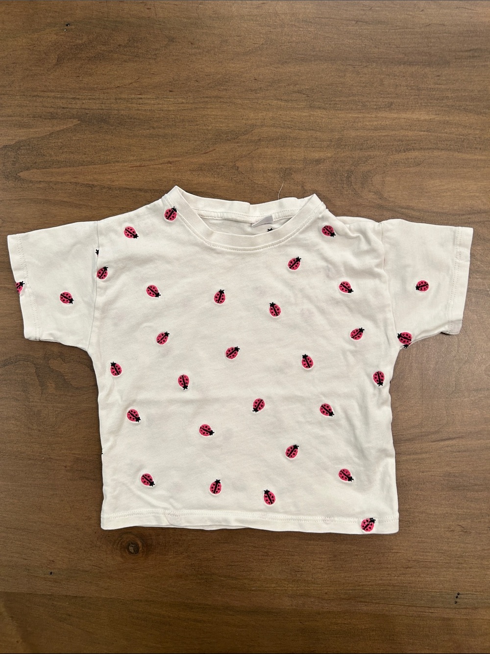 Zara White Tee with Pink Ladybug Print